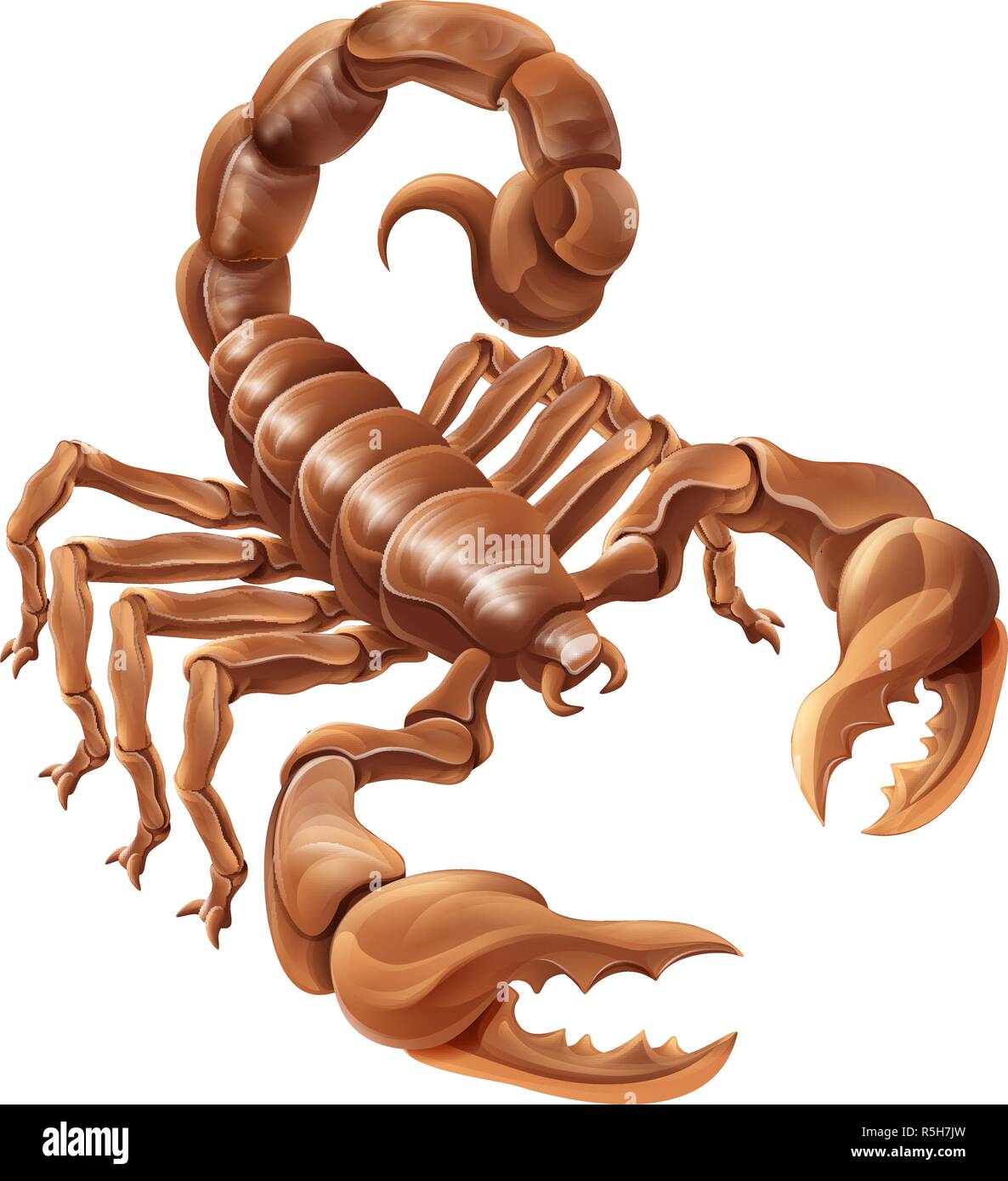 Scorpion Scorpio Zodiac Sign Design Stock Vector