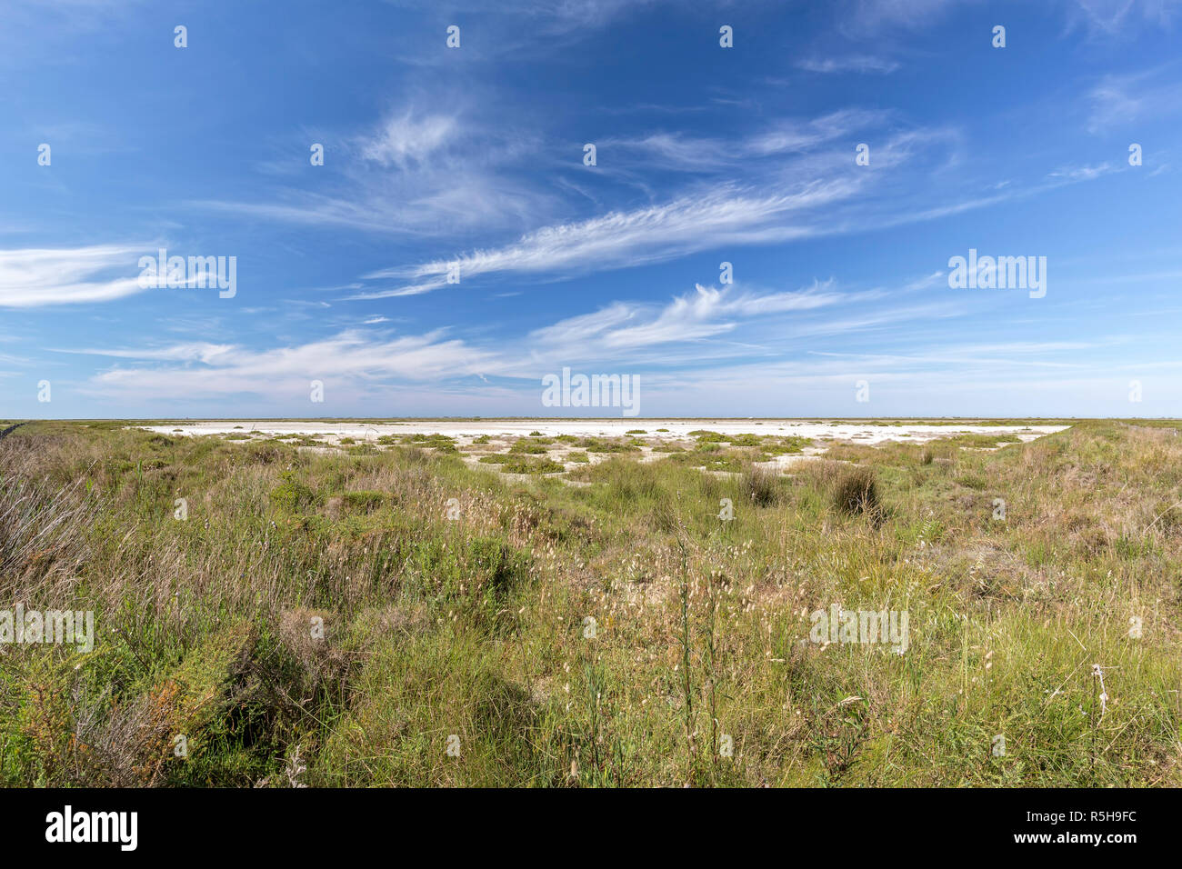 typical landscape in southern camargue,southern france Stock Photo