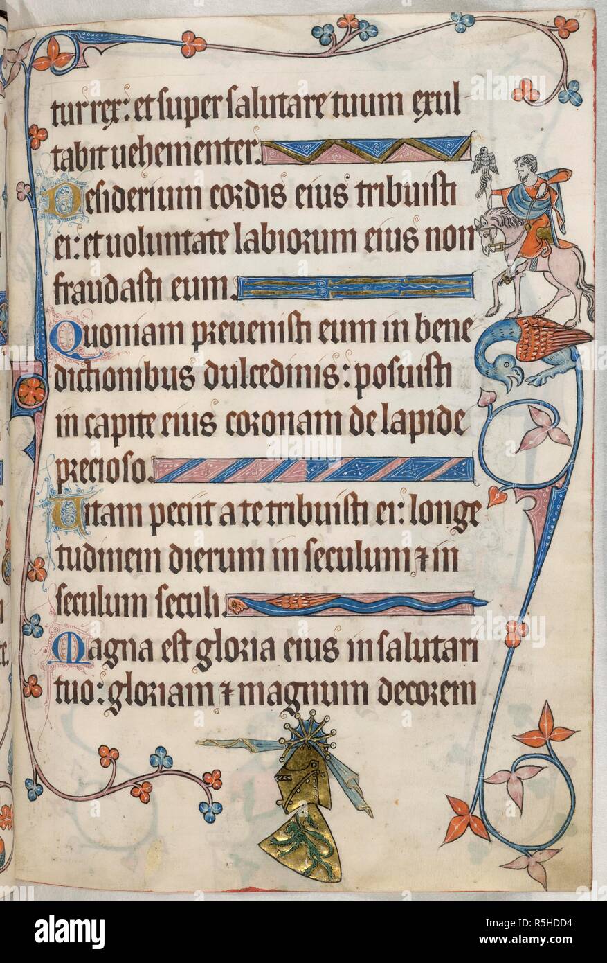 Psalm 20; hawking. Luttrell Psalter. England [East Anglia]; circa 1325-1335. [Whole folio] Psalm 20. Border decoration, including man on horsback, holding a hawk on his gloved right hand. In the lower margin, a shield with a lion rampant, the Sutton crest, surmounted by a golden helm with pivoted visor, fan-crest, amd mantling  Image taken from Luttrell Psalter.  Originally published/produced in England [East Anglia]; circa 1325-1335. . Source: Add. 42130, f.41. Language: Latin. Stock Photo