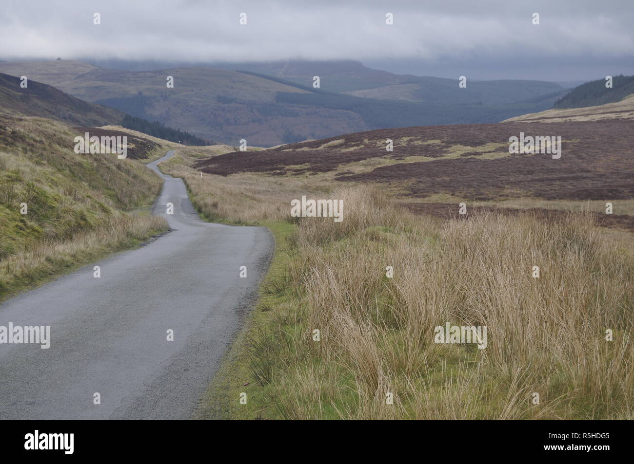 Looking north towards Carrog and Penmachno, Gwydyr Forest Park, Snowdonia, Wales, UK Stock Photo