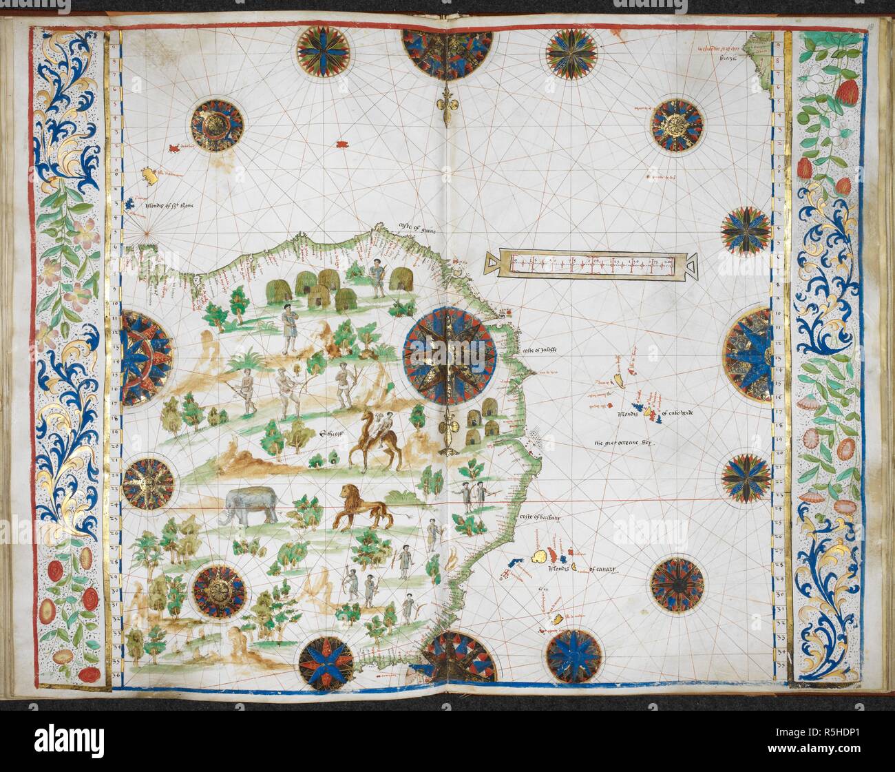 1542 map of america hi-res stock photography and images - Alamy
