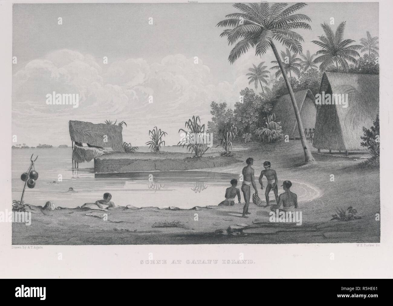 Scene At Oatafu Island Narrative Of The United States - 