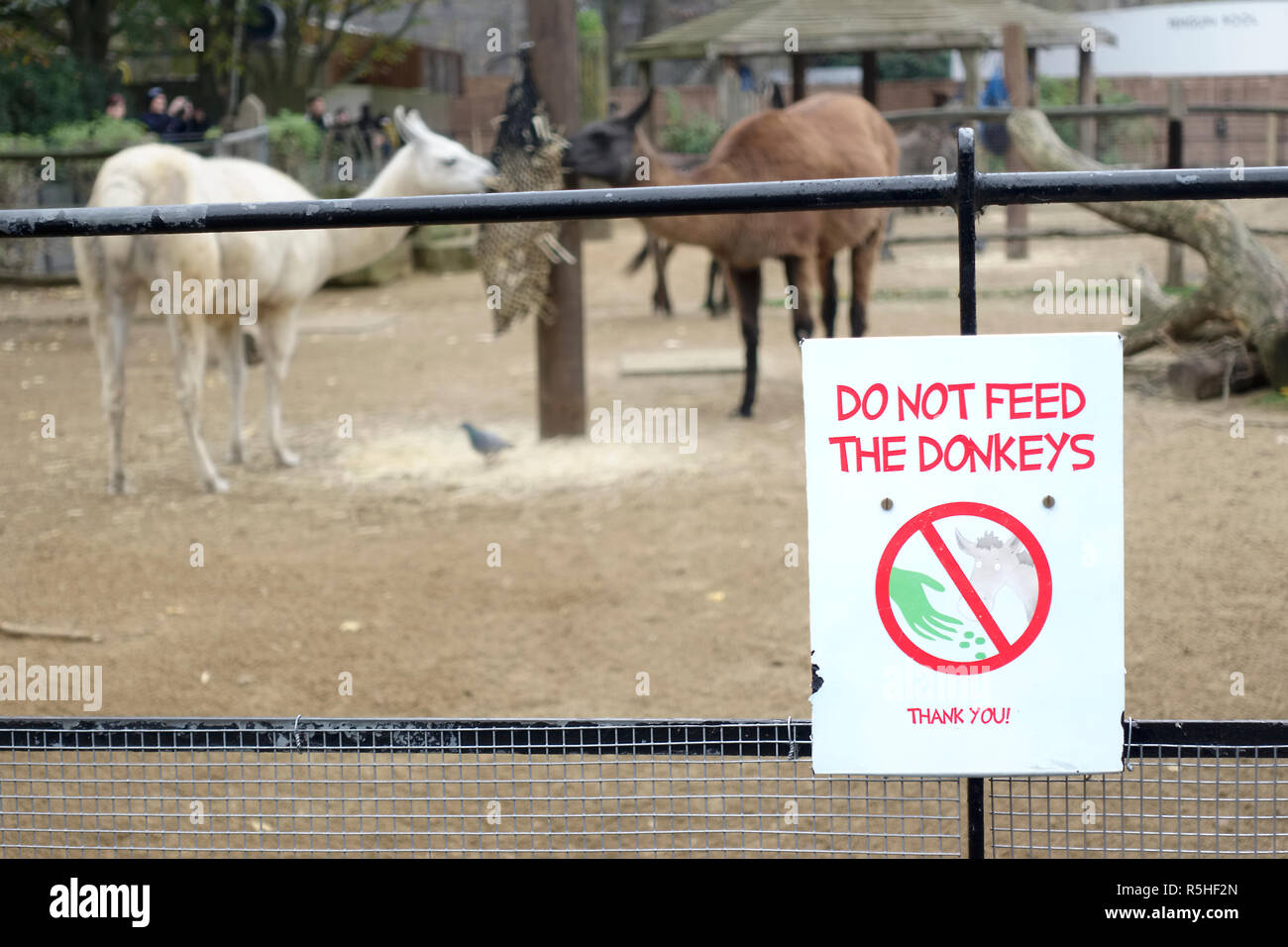 London zoo sign hires stock photography and images Alamy