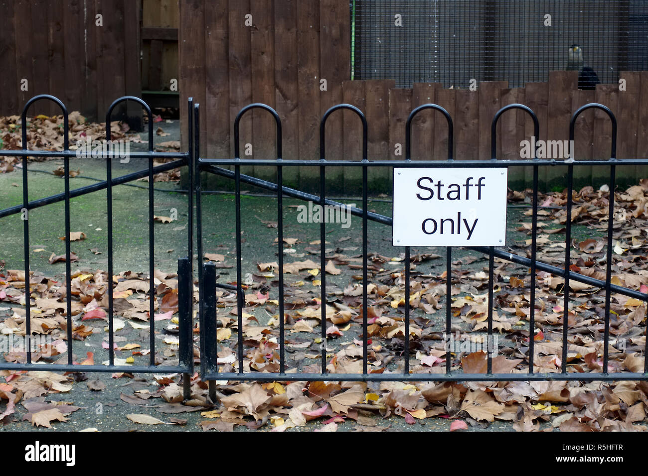Staff only sign at workplace fence gate Stock Photo Alamy