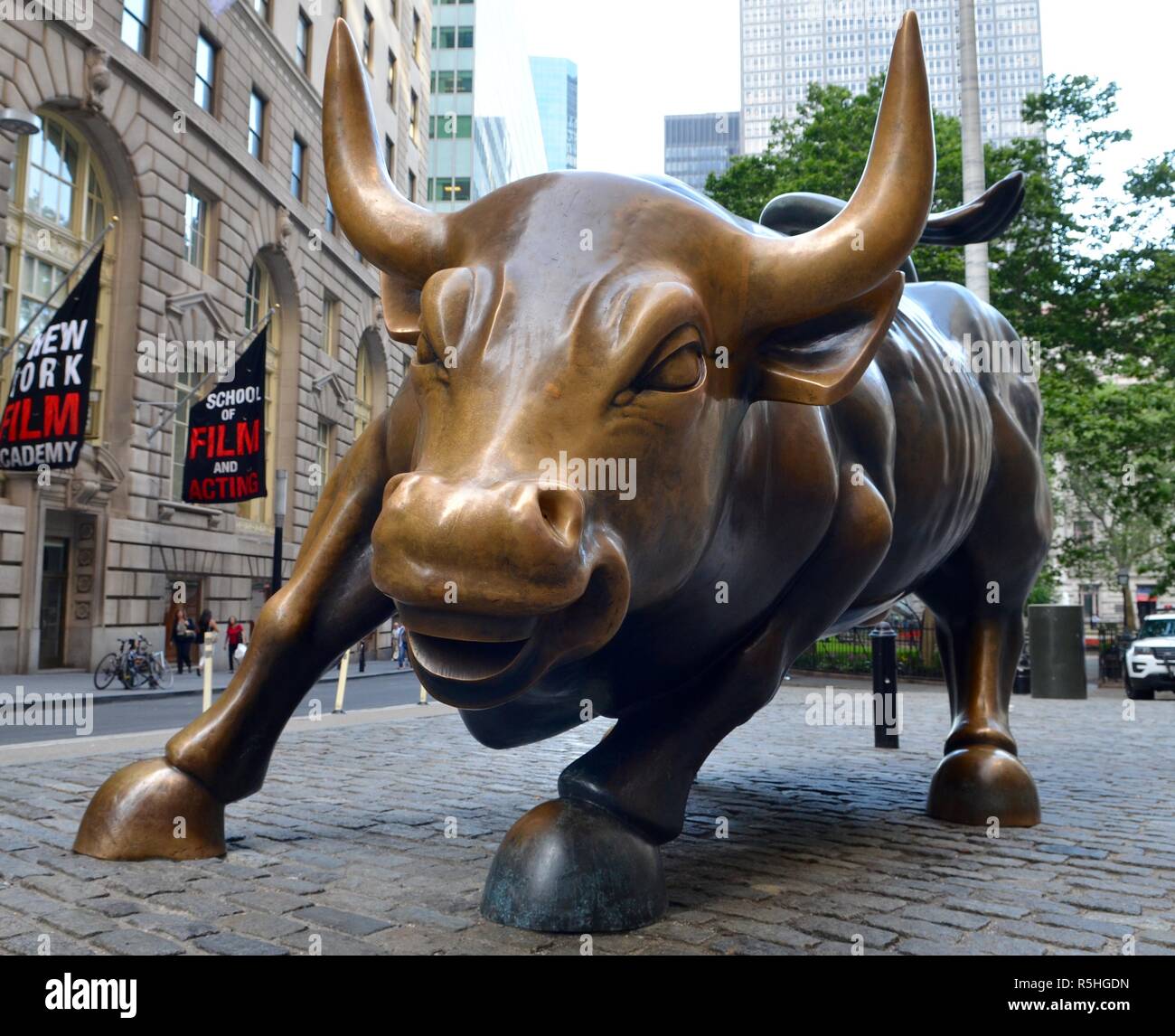 Bull in Lower Manhattan, New York, NY, USA Stock Photo Alamy