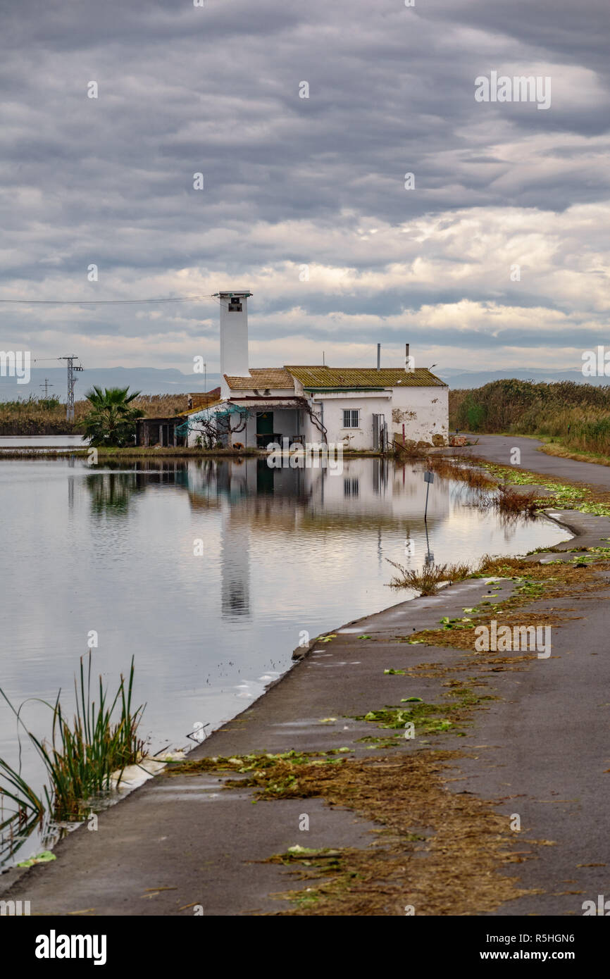 Huge flooded rice field with hut and road, vertical composition Stock Photo