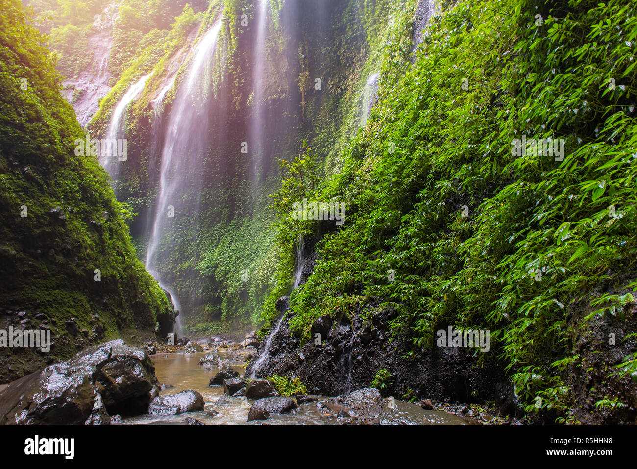 Madakaripura Waterfall near Mount Bromo in eastern Java, Indonesia Stock Photo