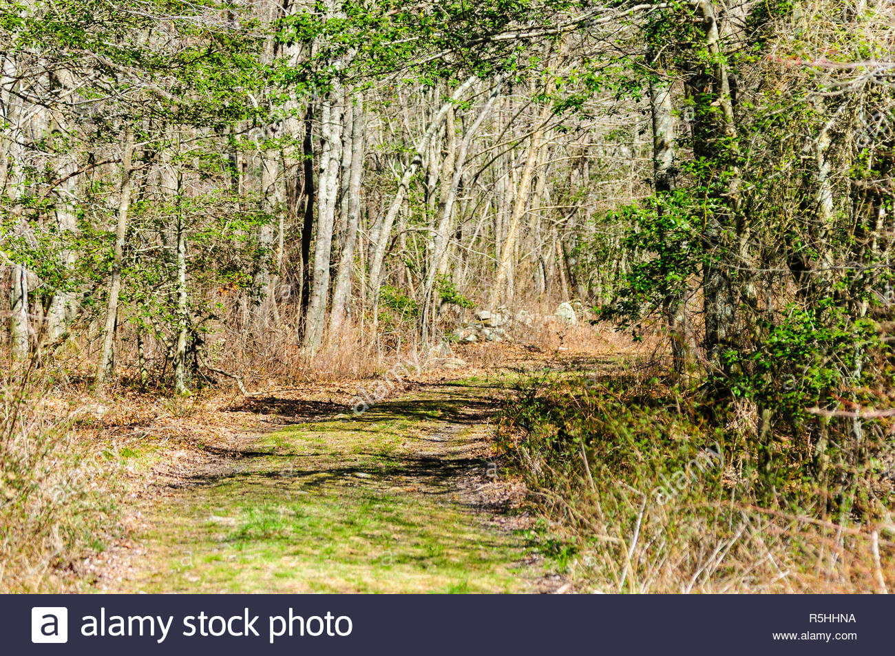 double track trail