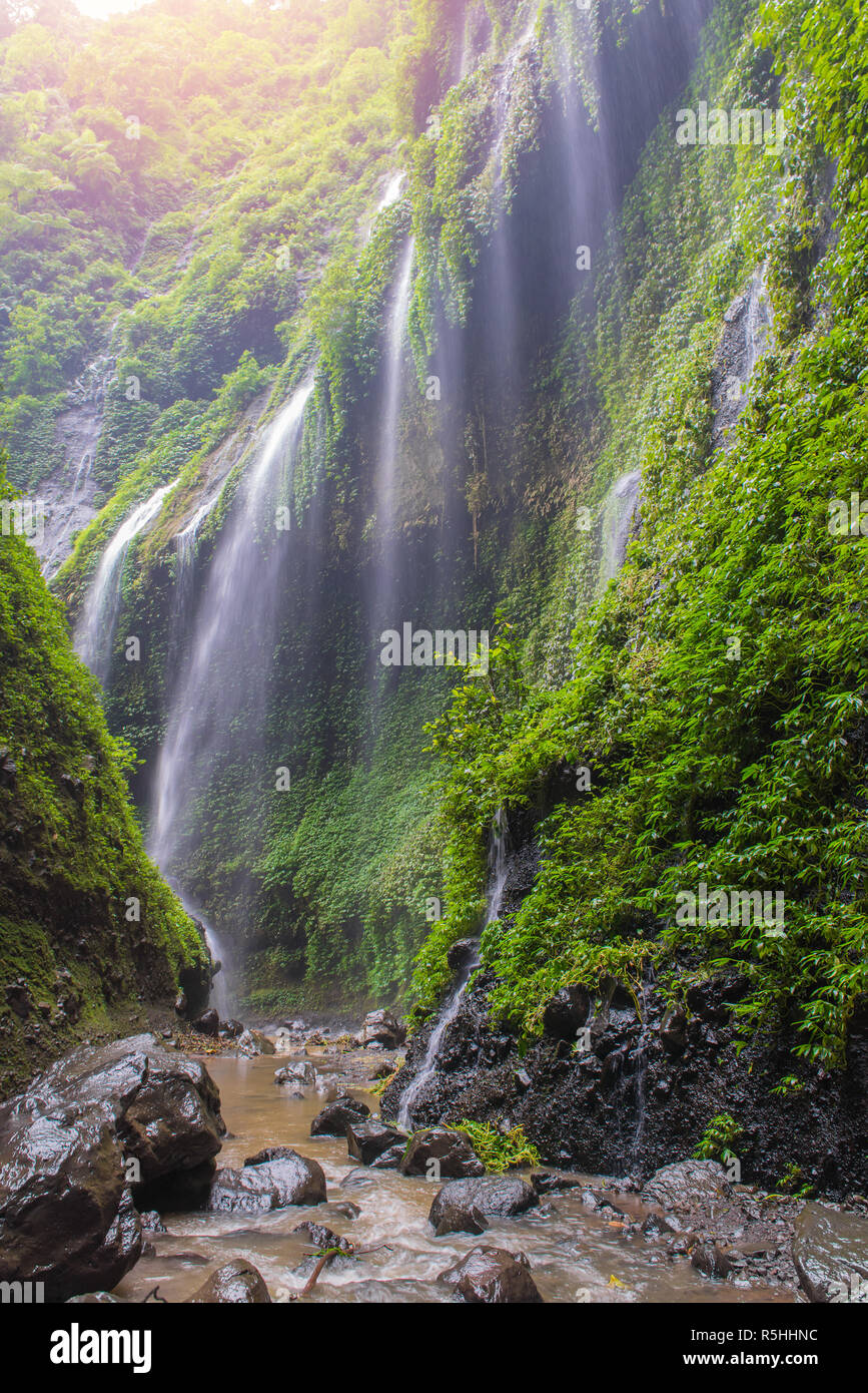 Madakaripura Waterfall near Mount Bromo in eastern Java, Indonesia Stock Photo