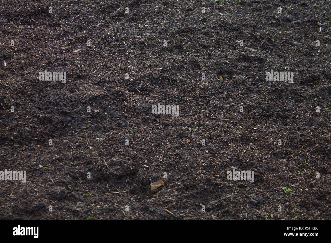 Wet dirt empty with space. Background or texture. Stock Photo