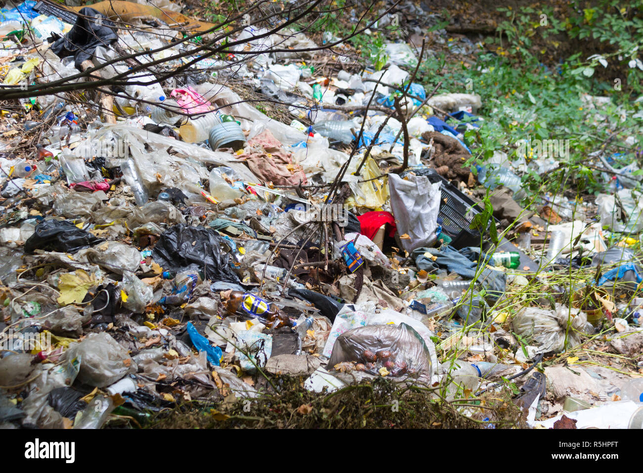garbage in the forest. big dump in green forest Stock Photo - Alamy