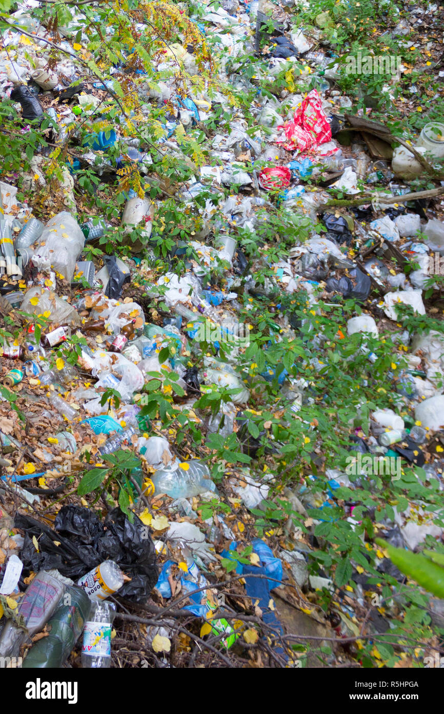 garbage in the forest. big dump in green forest Stock Photo - Alamy