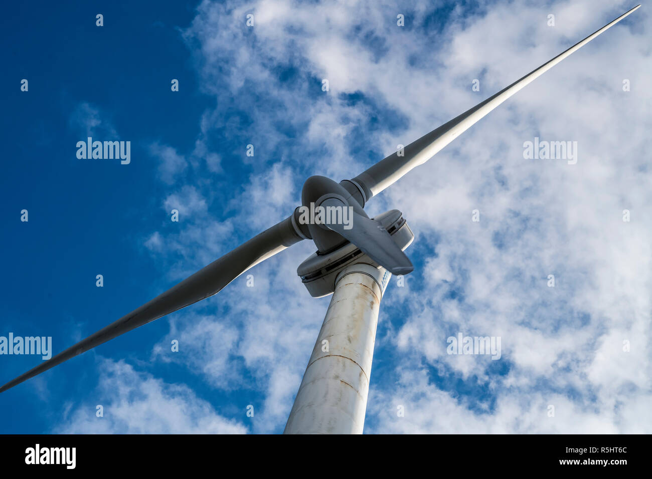 The huge wind turbine blades blade. Th diameter of rotor is 50 m. Iga
