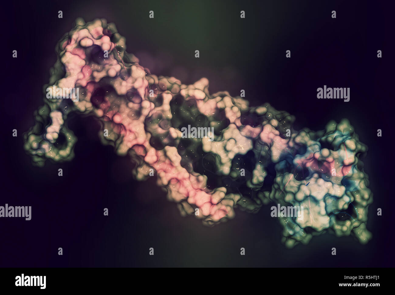 Troponin structure of the human cardiac troponin core domain. Composed