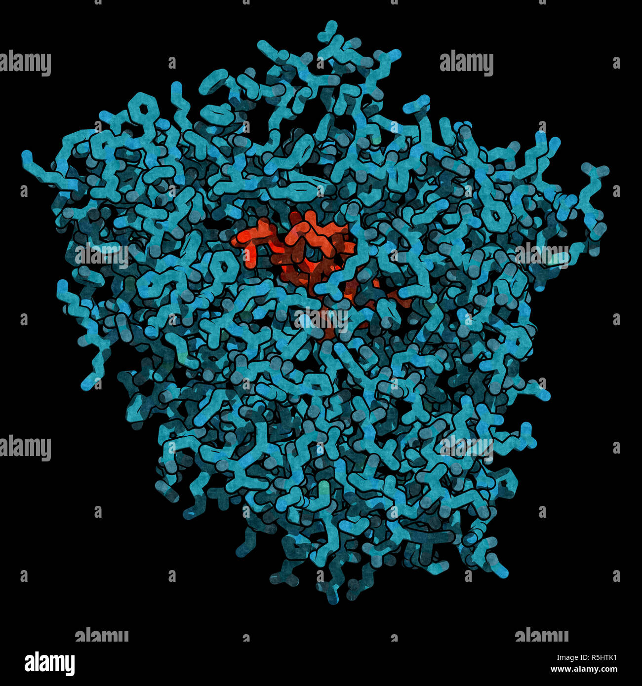 Cytochrome P450 (CYP3A4) liver enzyme in complex with the antibiotic erythromycin. 3D rendering based on protein data bank entry 2J0D. Black backgroun Stock Photo
