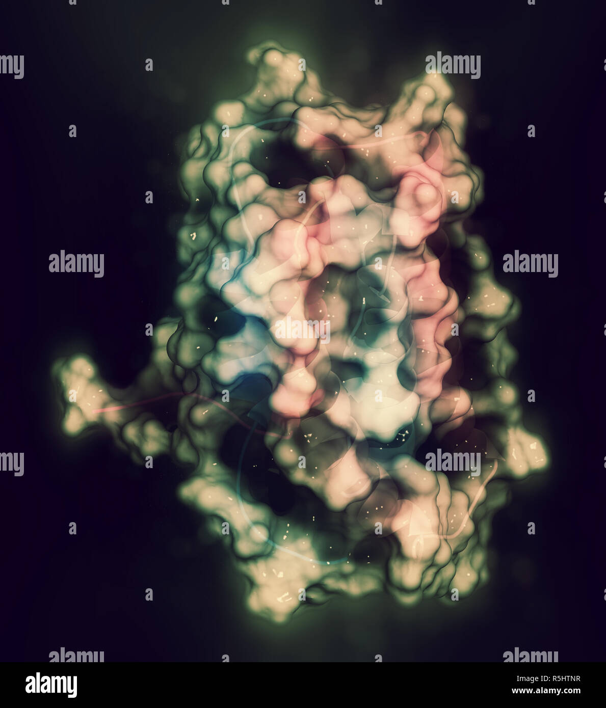 Interferon alpha 2a (IFNA2) molecule. Pegylated analogs of this cytokine are used to treat hepatitis B and C infections. 3D rendering based on protein Stock Photo