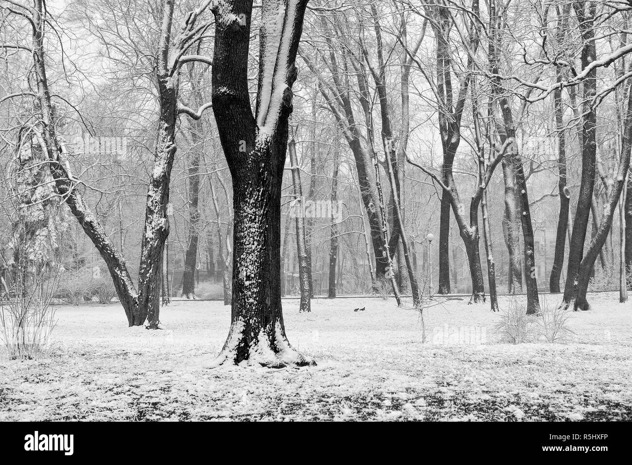 Winter landscape with falling snowflakes - bench covered with snow ...