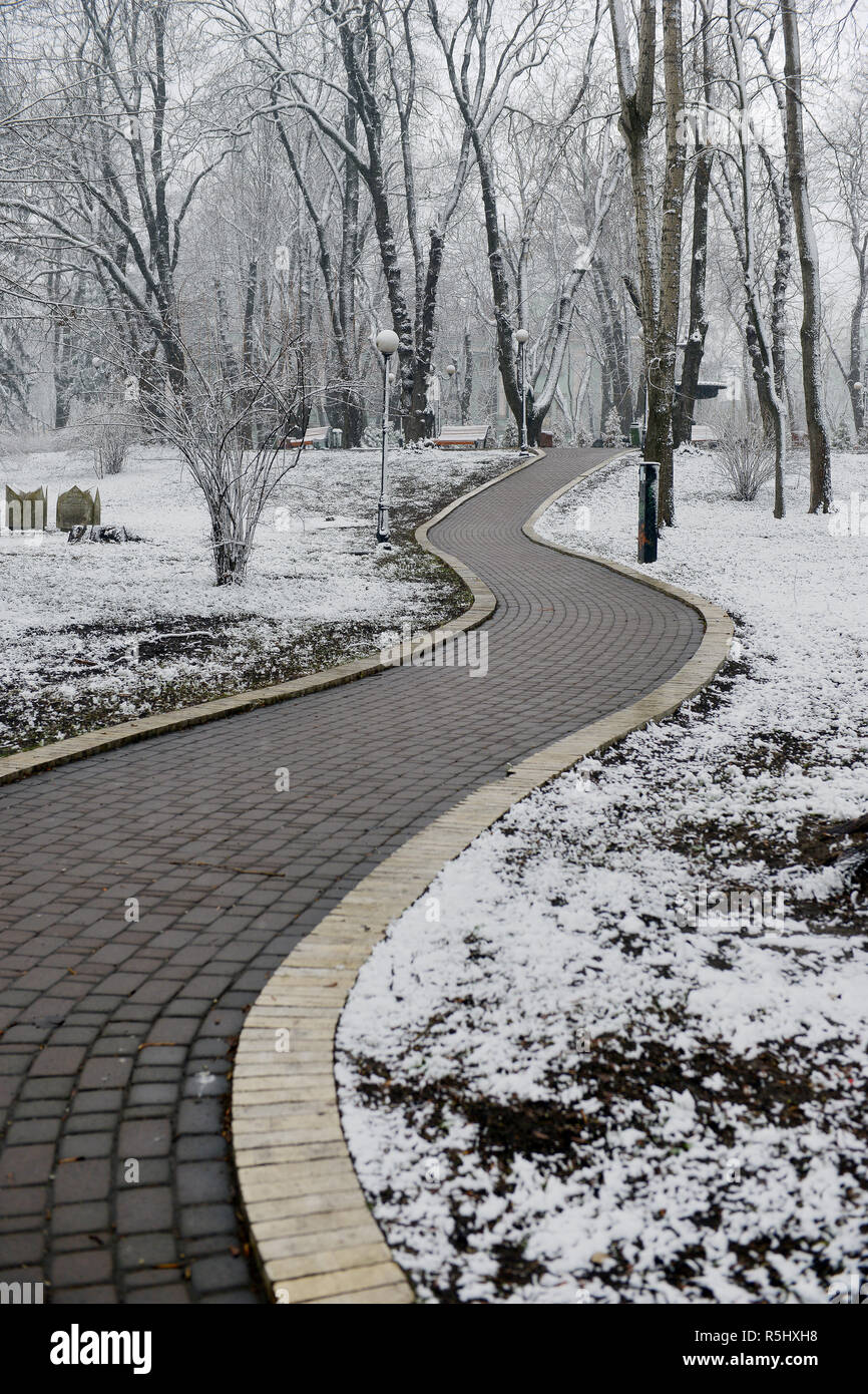 Winter landscape with falling snowflakes - bench covered with snow ...