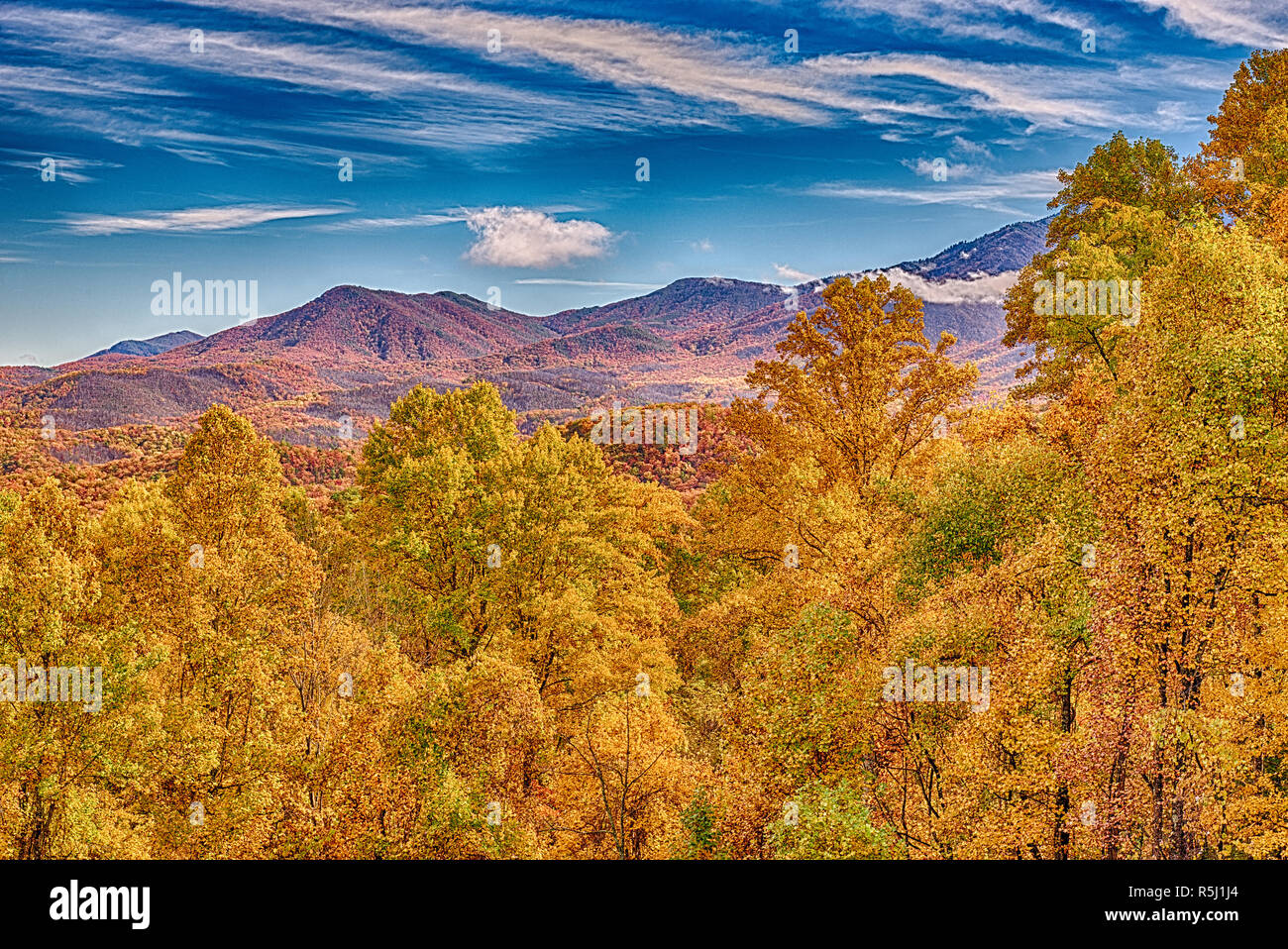 Horizontal shot of the beautiful fall colors in the Smoky Mountains ...