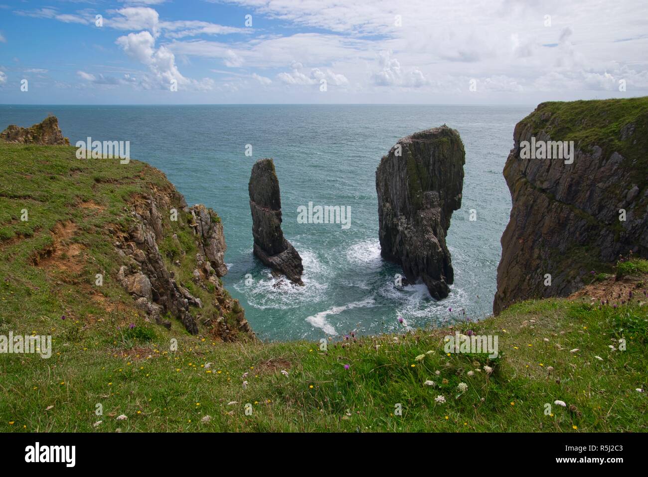 Elegug Stack Rocks, Pembrokeshire, Wales, United Kingdom Stock Photo