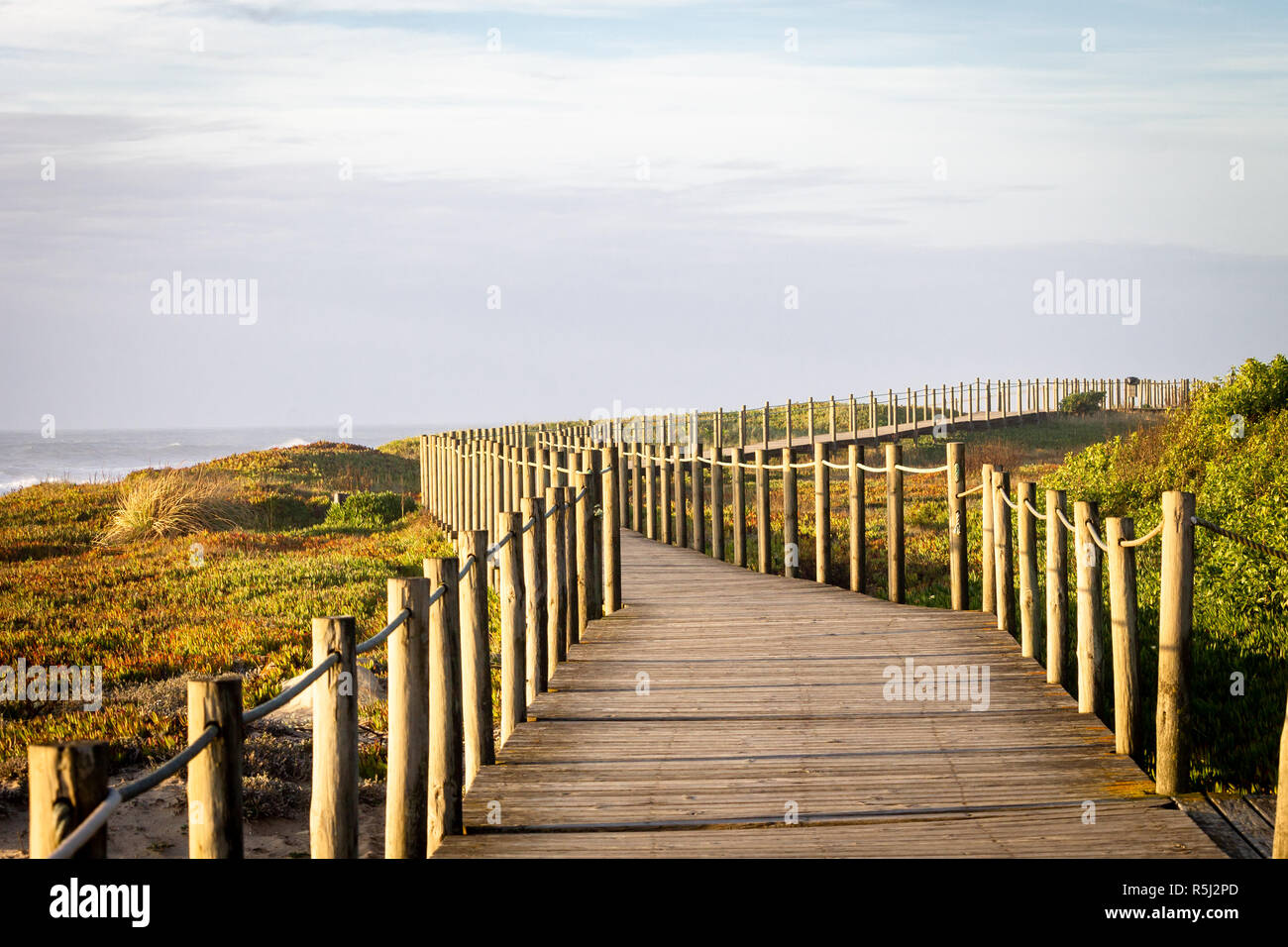 An empty wooden boardwalk goes along some vegetation against a cloudy background. Copy space. Stock Photo