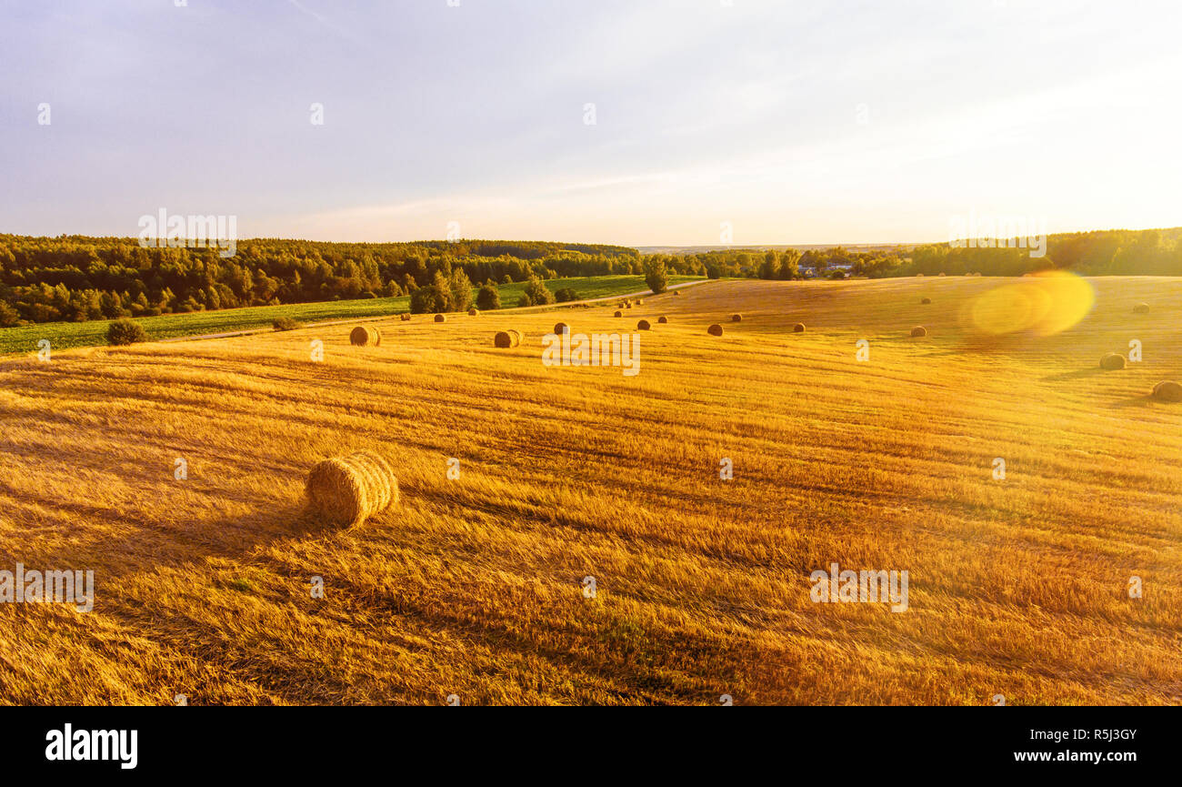 Sheaves Of Wheat High Resolution Stock Photography and Images Alamy