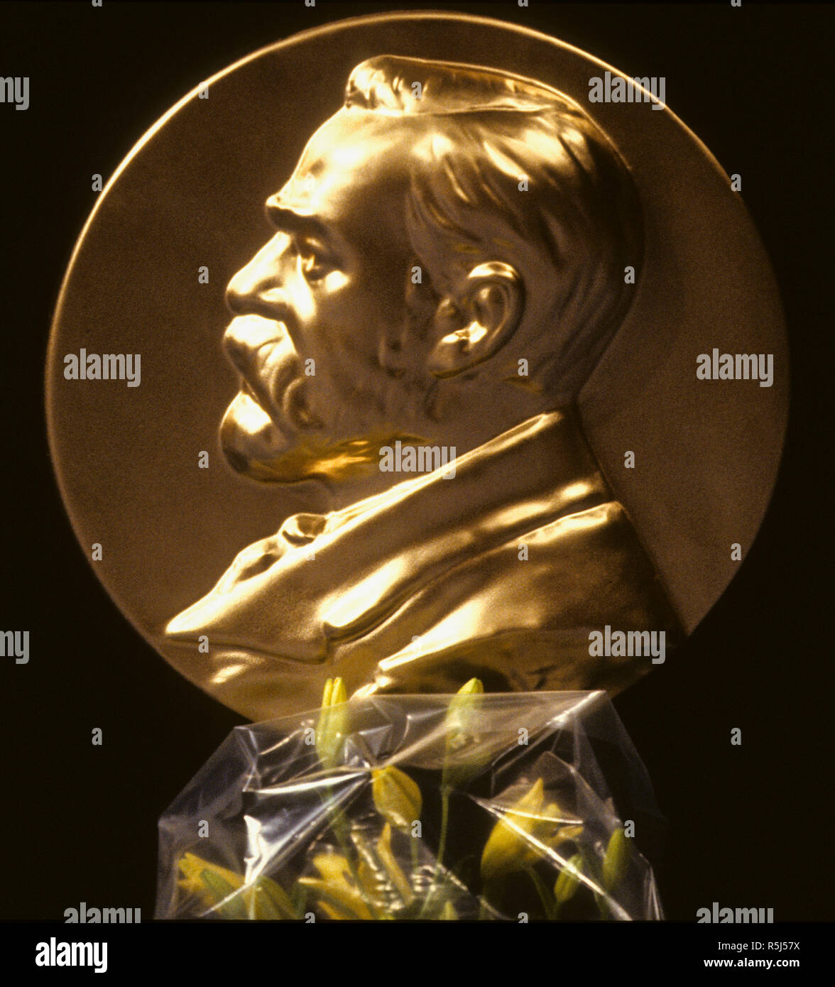 ALFRED NOBEL at a medallion on the podium at the Nobel Prize giving ceremony in Stockholm Consert hall Stock Photo