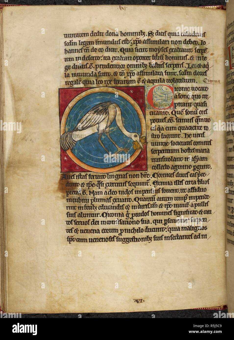 Page Of Illuminated Manuscript With A Miniature Of A Bird With A Fish page-of-illuminated-manuscript-with-a-miniature-of-a-bird-with-a-fish