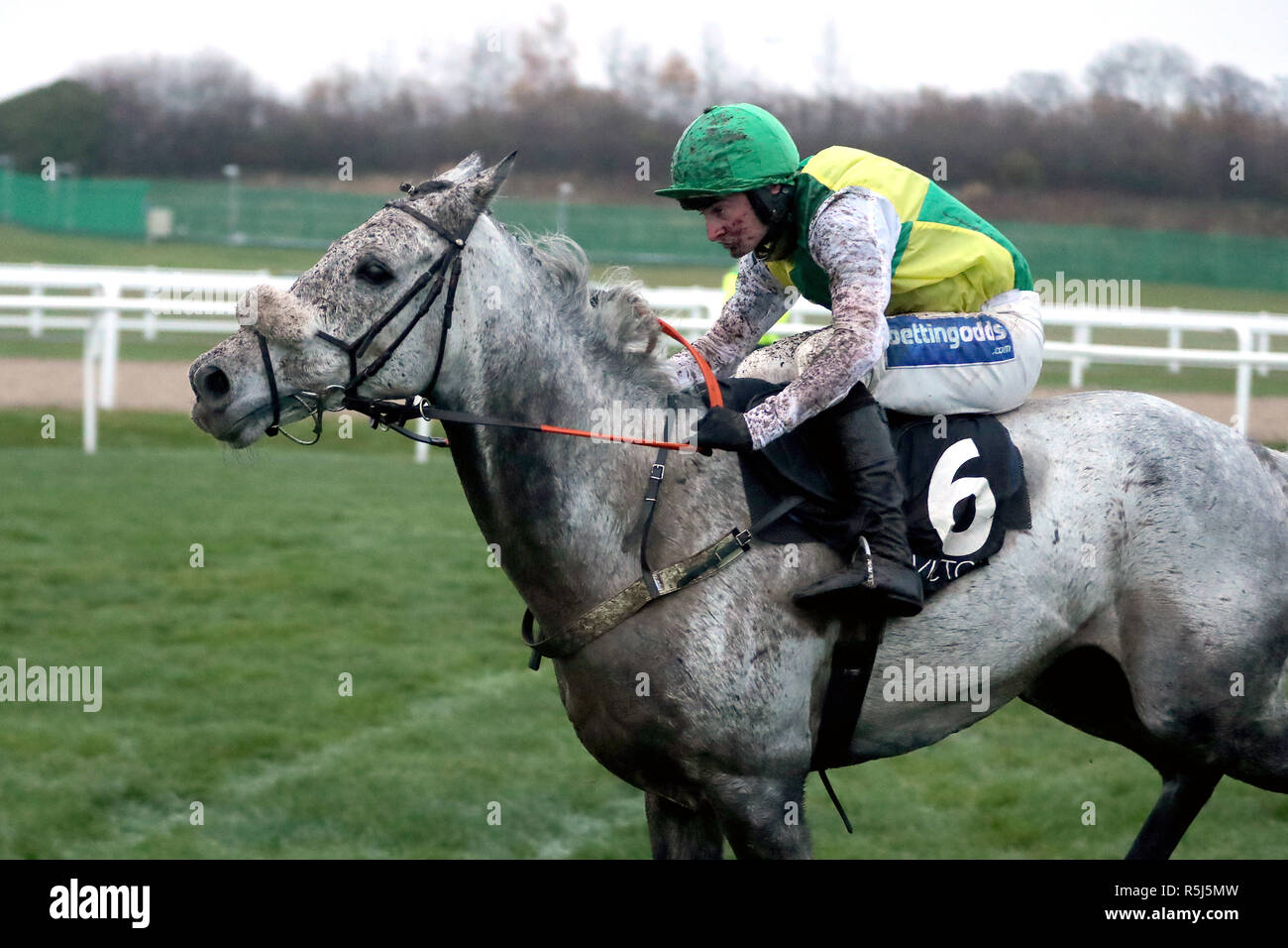 Lake view lad horse hi-res stock photography and images - Alamy
