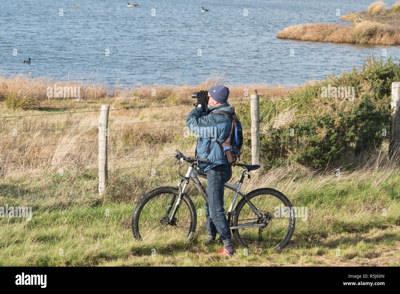 RSPB Medmerry Nature Reserve by the coast, West Sussex, UK. Birdwatcher on a bicycle looking at birds on the stilt pools through binoculars Stock Photo