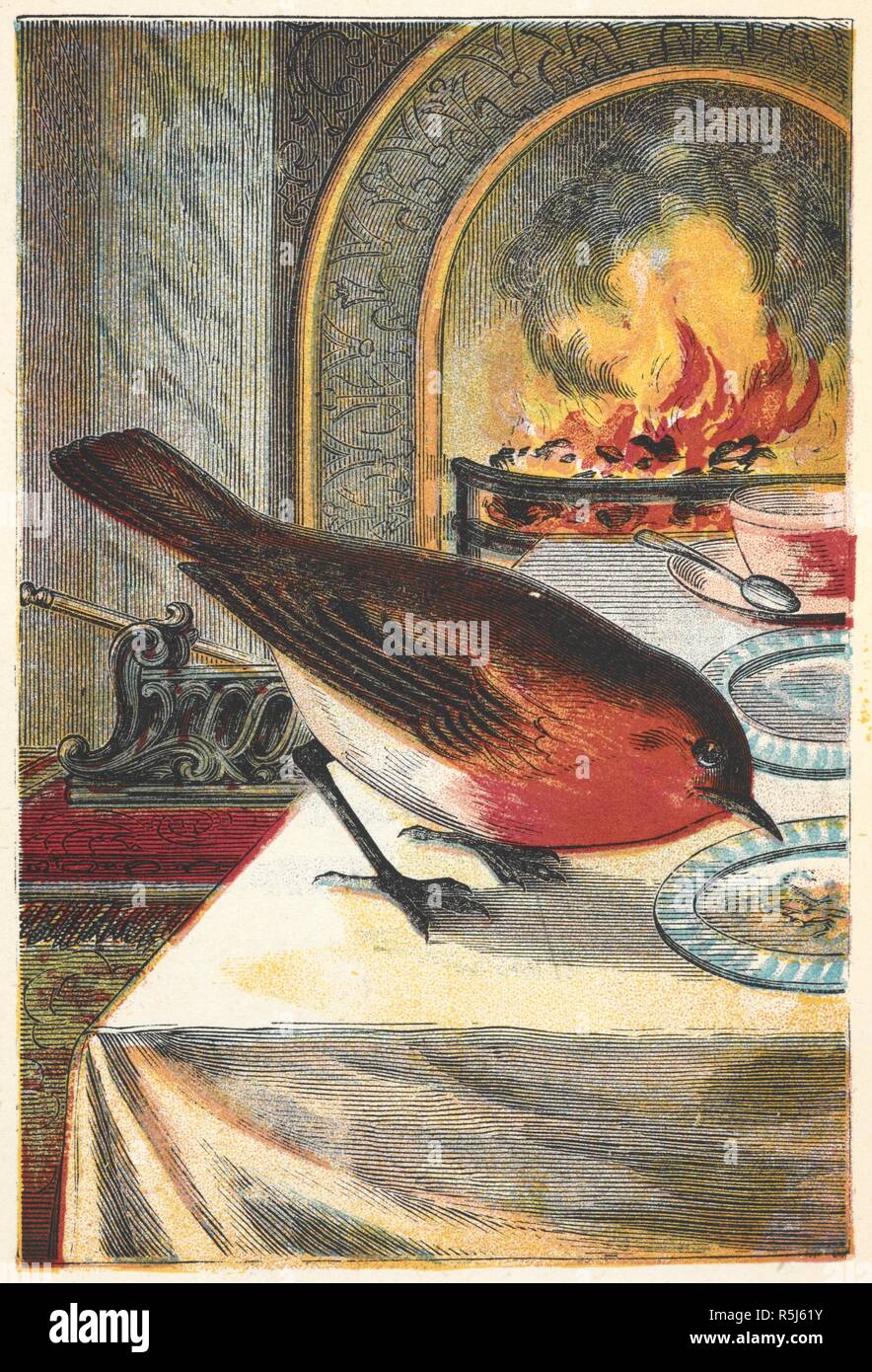 A robin eating from a table in front of a fire. The Robin Redbreast Picture Book. With ... illustrations. London ; New York, [1873]. Source: 12803.aaa.62. plate 8. Author: ANON. Stock Photo