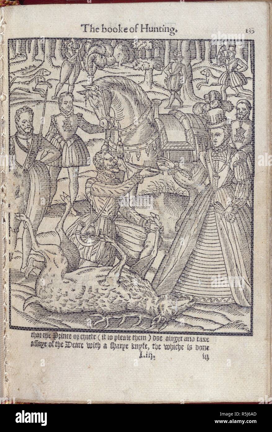 Elisabeth I at a stag hunt. The Noble Arte of Venerie or Hunting. Wherein is h. London, 1575. Elisabeth I at a stag hunt.  Image taken from The Noble Arte of Venerie or Hunting. Wherein is handled and set out the Vertues, Nature, and Properties of fiuetene sundrie Chaces togither, with the order and maner how to Hunte and kill euery one of them. Translated and collected out of the best approued Authors and reduced into such order and proper termes as are used here, in this noble Realme of England.  Originally published/produced in London, 1575. . Source: C.31.g.1.(2), Iiii r. Stock Photo