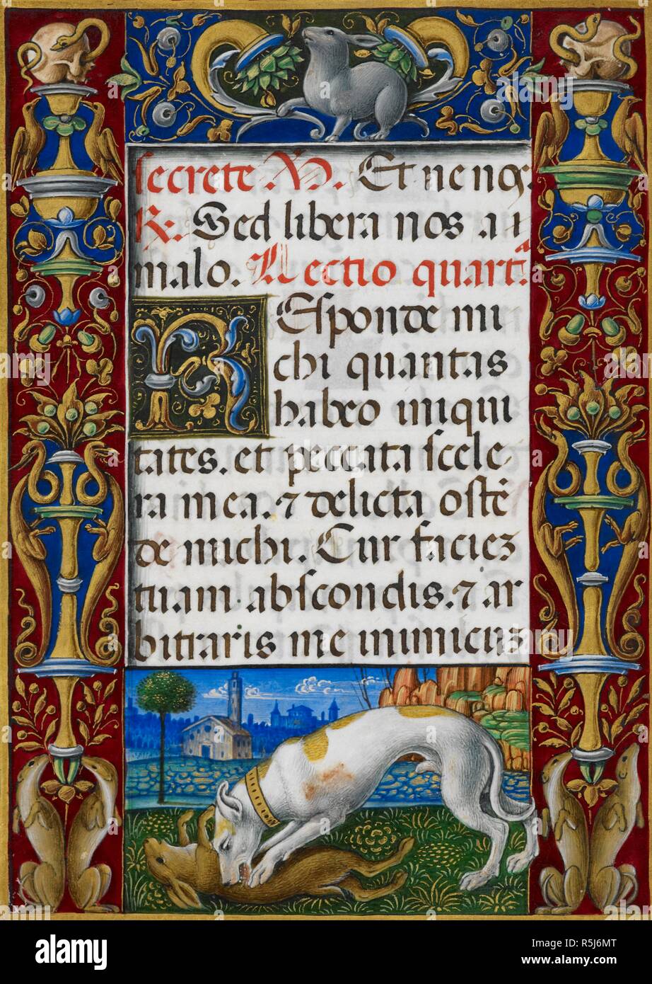 Text page from Office of the Dead with decorated border showing a dog