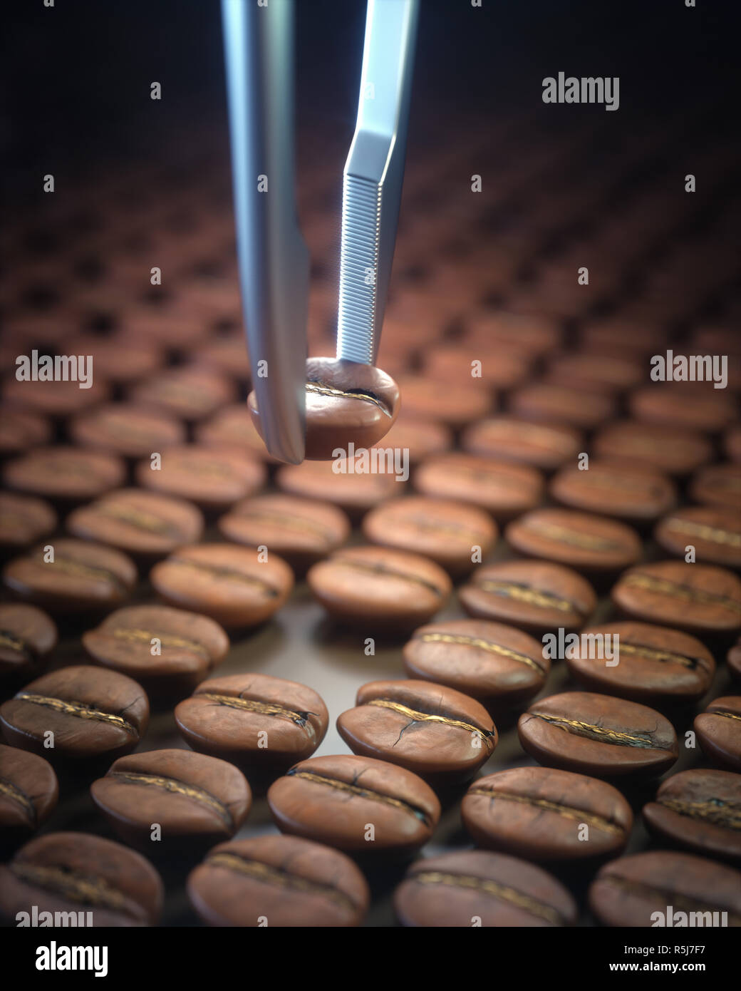 The Best Roasted Coffee Bean Stock Photo Alamy