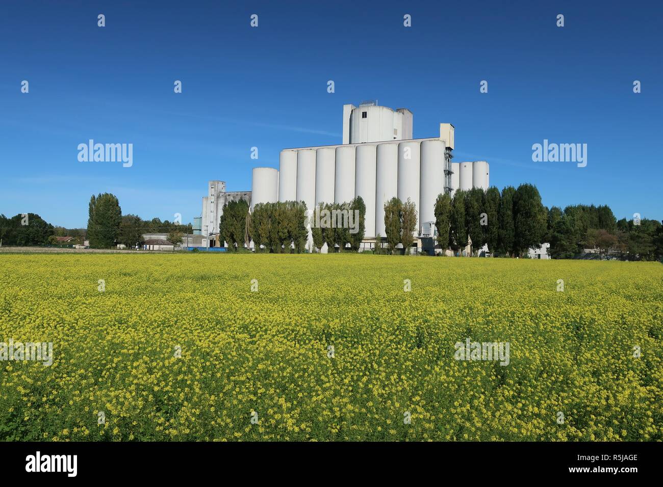 Grain silos elevators in Champagen countryside France Stock Photo