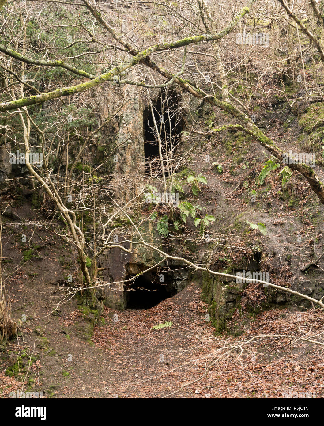 Two old drift mine adits adjacent to the Bollihope Burn near White Kirkley, Co. Durham, England, UK Stock Photo