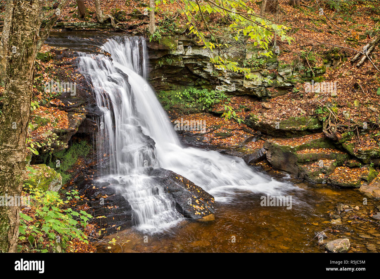 Dry Run Falls, a beautiful waterfall in Pennsylvania's Loyalsock State