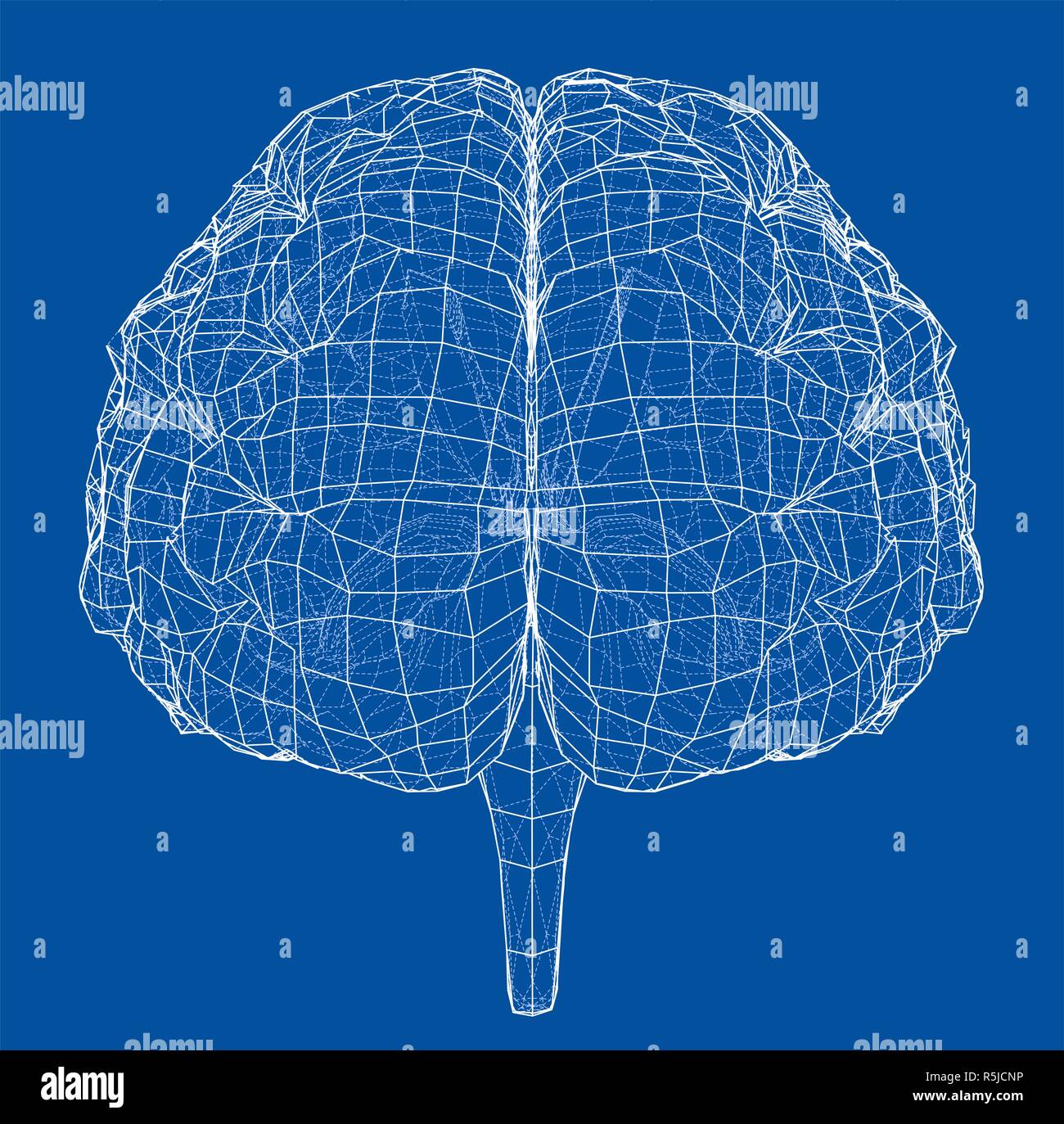 3D outline brain Stock Photo - Alamy