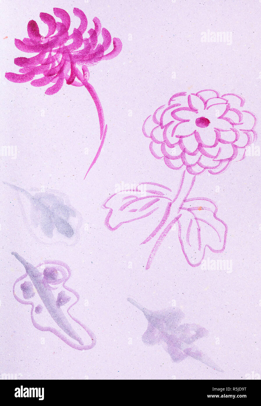 sketches of chrysanthemum flowers Stock Photo - Alamy