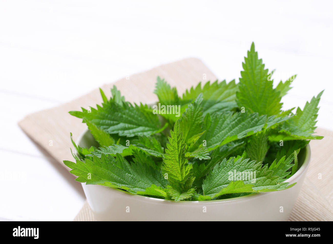 fresh nettle leaves Stock Photo Alamy