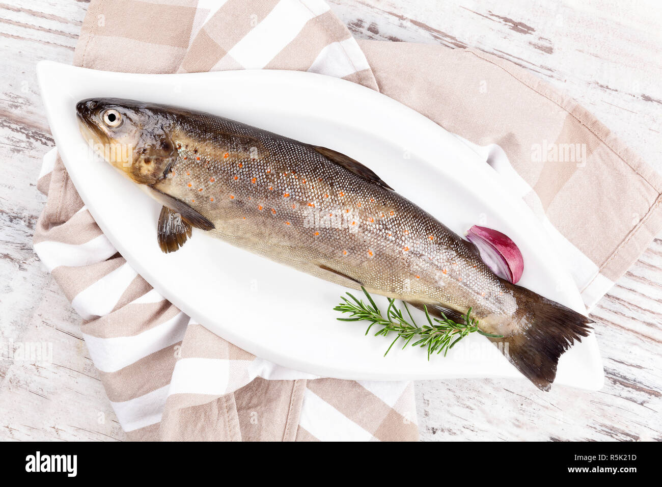 Fresh rainbow trout from above Stock Photo Alamy