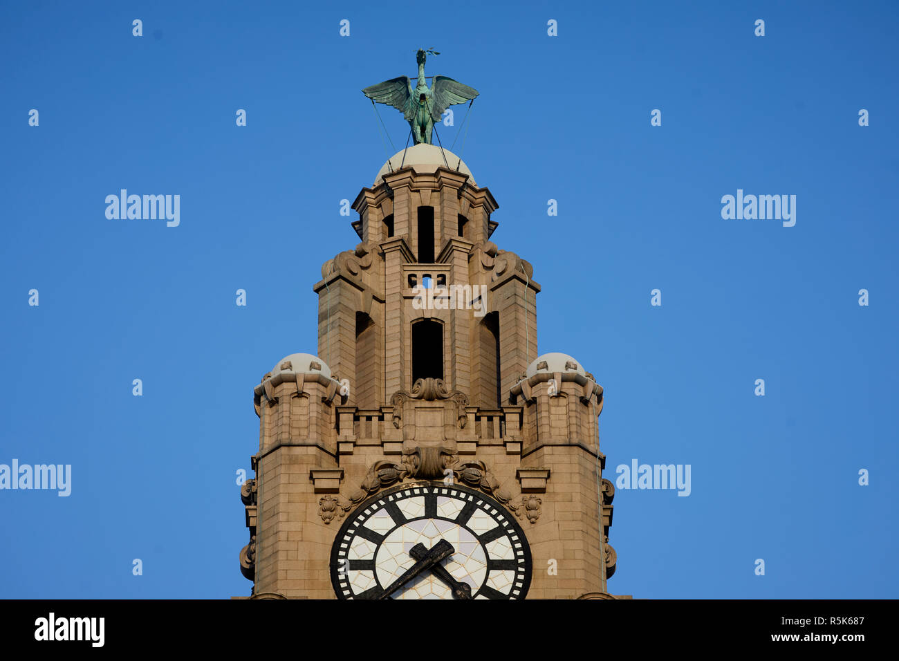 Liverpool Waterfront Royal Liver Building close up of the clock tower