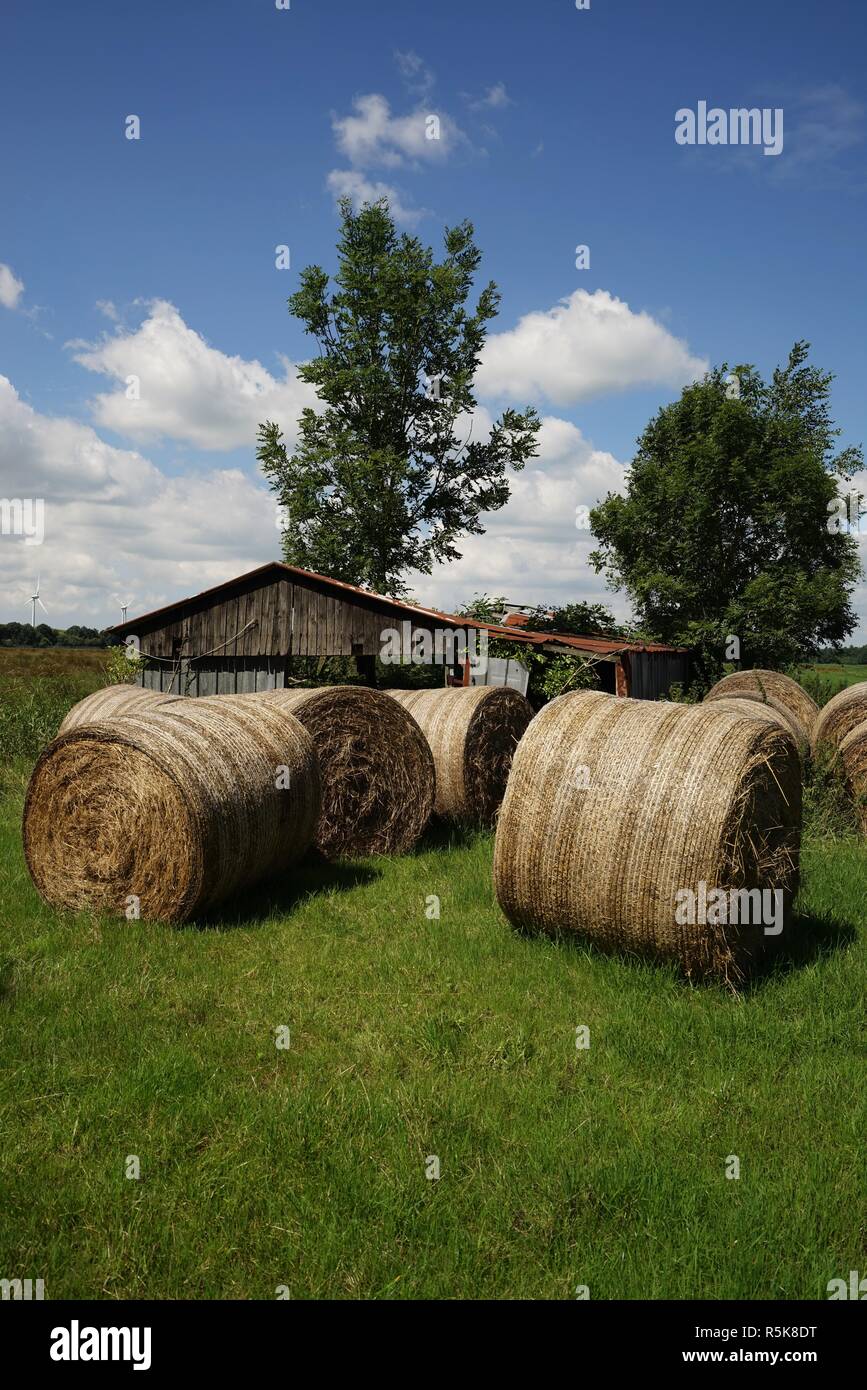 big straw bales under blue sky in summer Stock Photo - Alamy