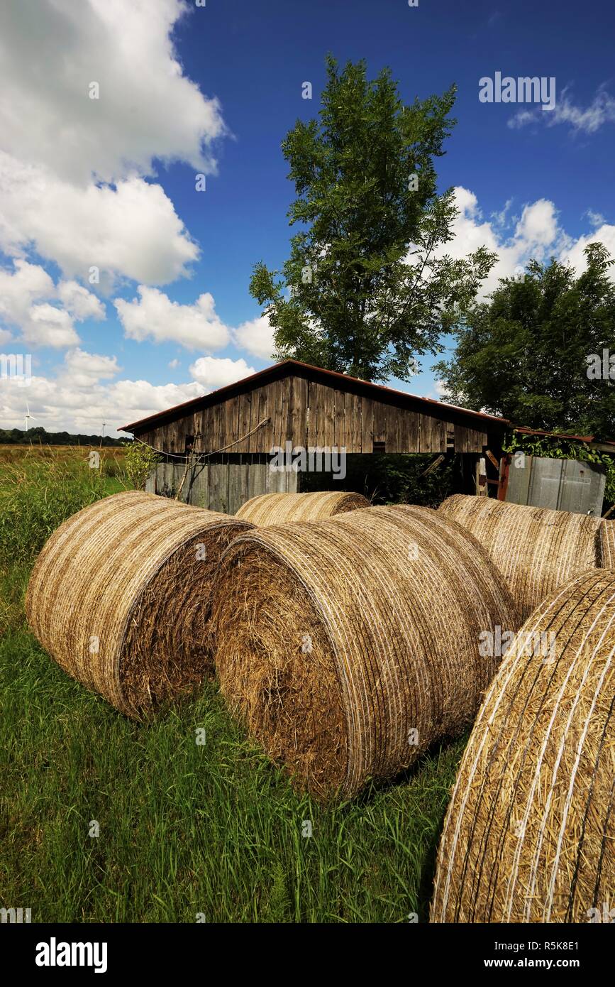 big straw bales under blue sky in summer Stock Photo - Alamy