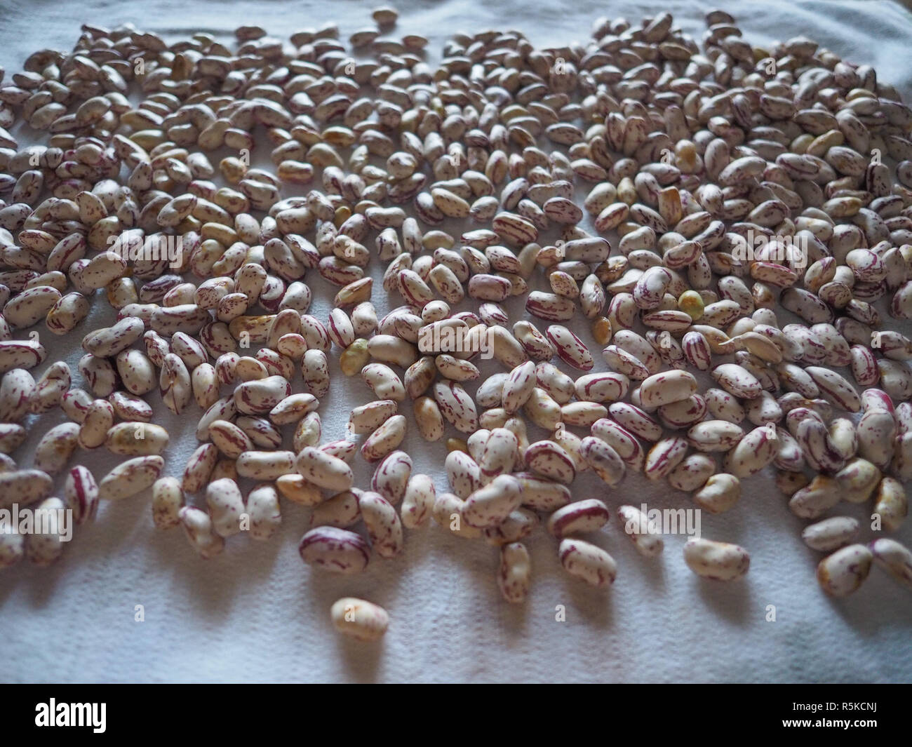 crimson beans legumes vegetables Stock Photo - Alamy