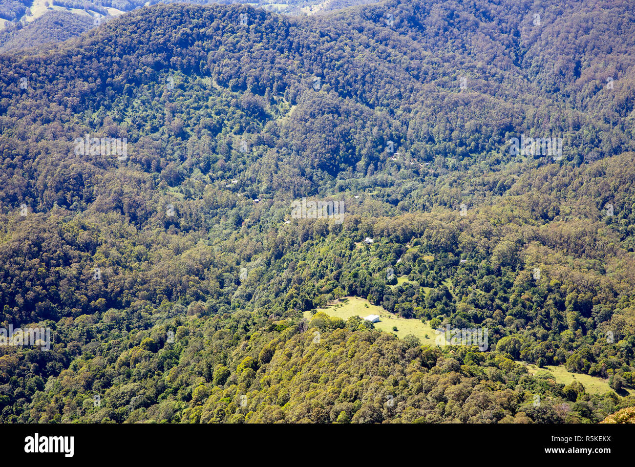Springbrook national park from Best of all Lookout,Gold Coast hinterland,Queensland,Australia