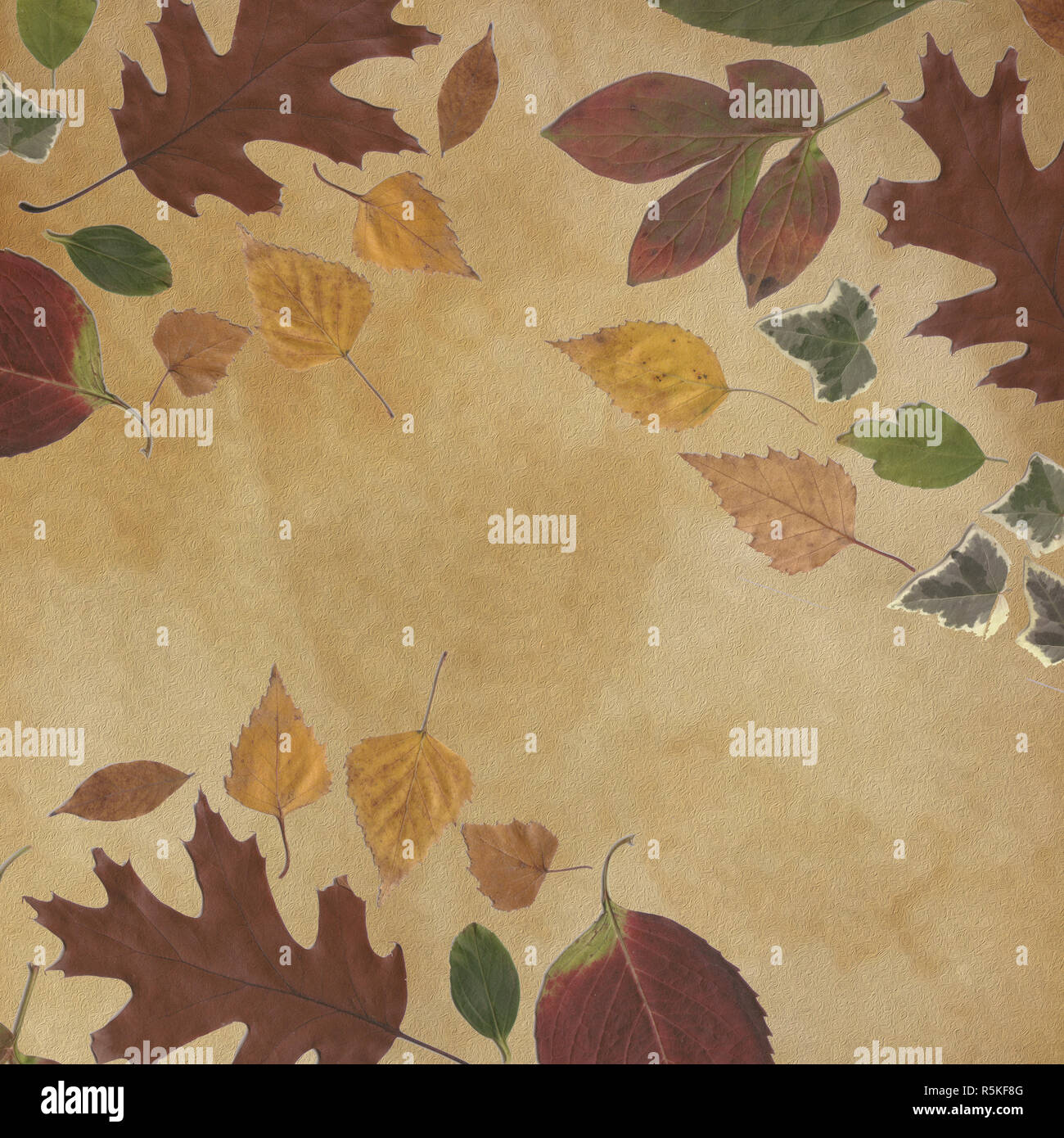 Unduh 85+ Background Alam Sepia HD Terbaik