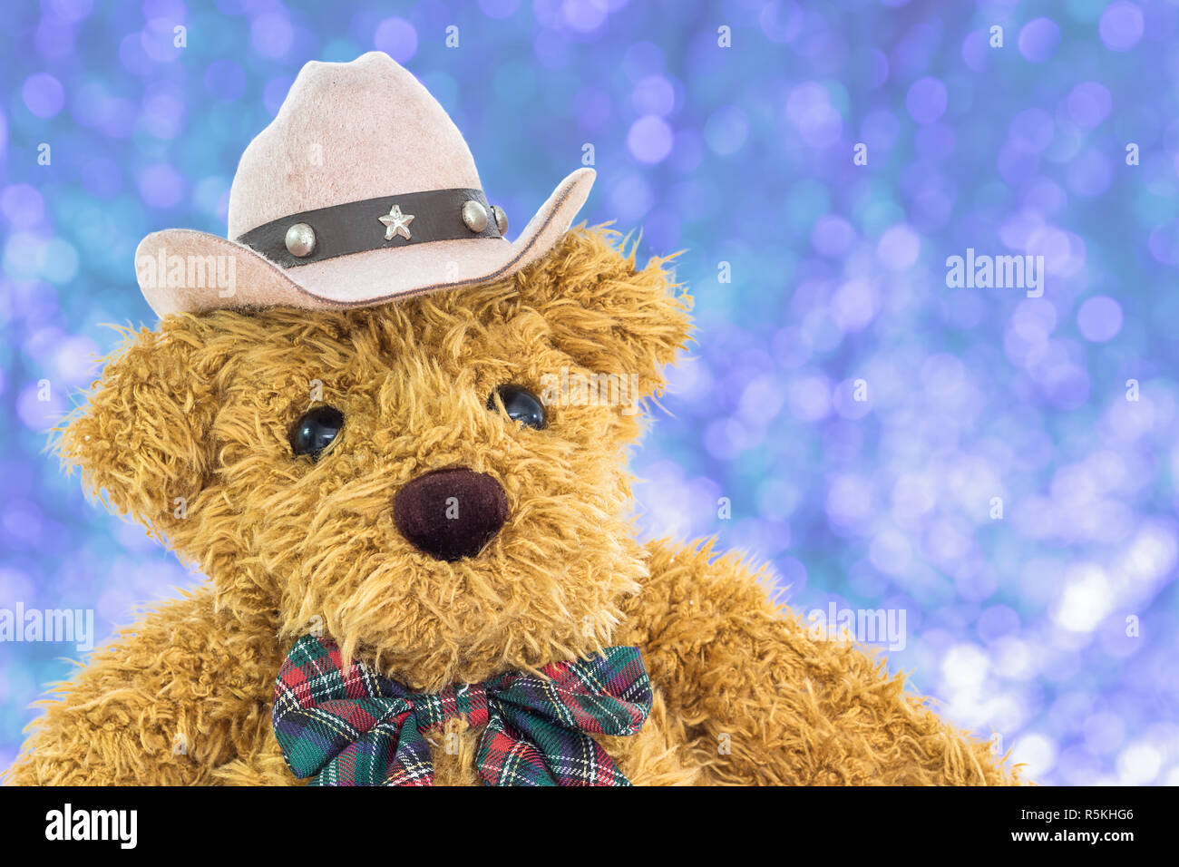 Close up cowboy teddy bear Stock Photo - Alamy