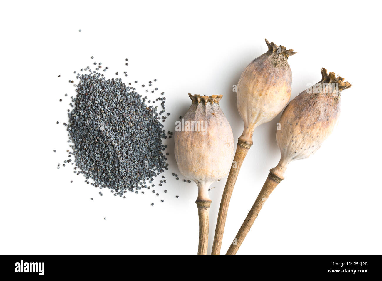 Dried poppy heads and seeds. Stock Photo