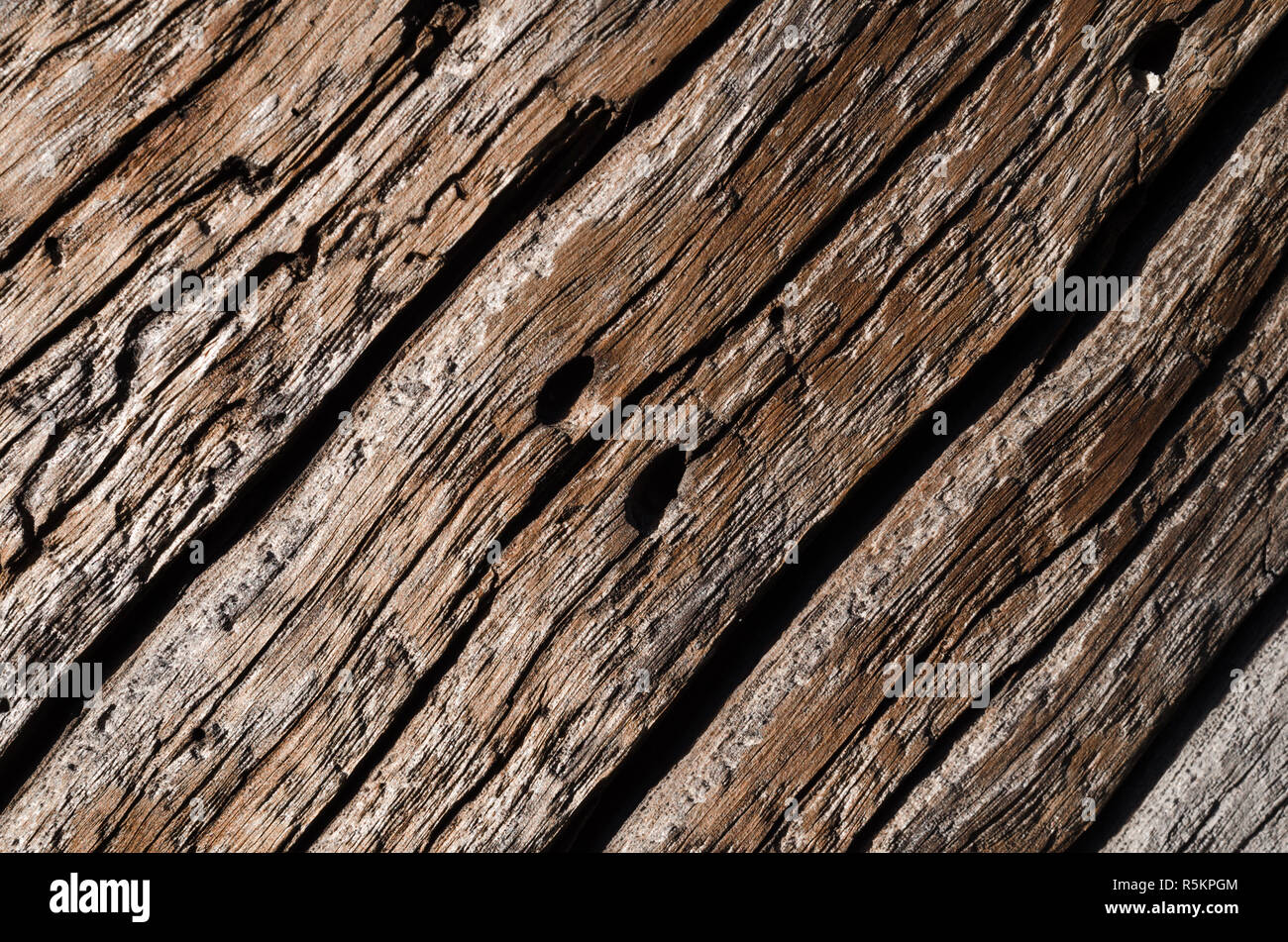 The texture is an old gray, rotted wooden board with deep wavy cracks